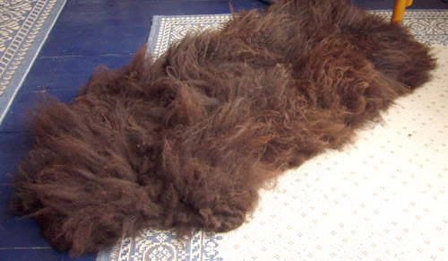 SheepSkin Rugs